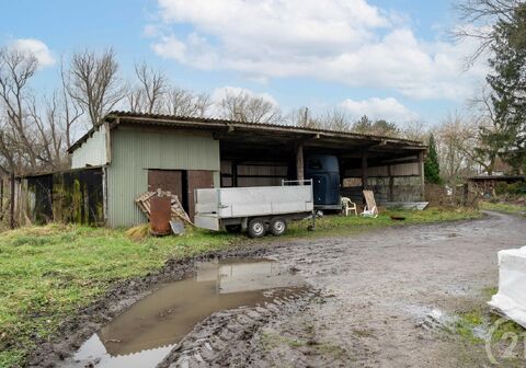 Hoeve te koop in Herselt